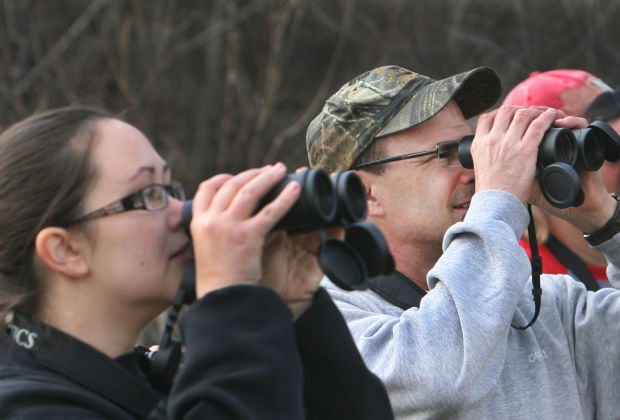 Iowa birders
